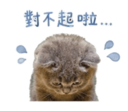855723557