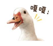 855726646