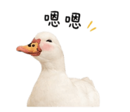 855726653