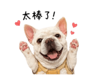 855726662