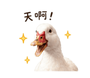 855726664