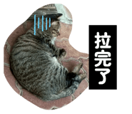 855727260