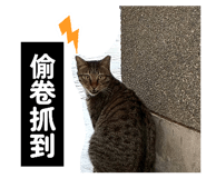 855727271