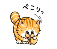 855727638