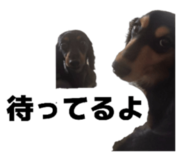 855727892