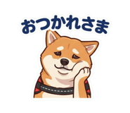 855728080
