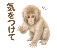 855728277