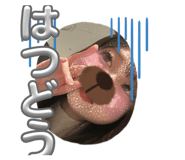 855728746