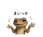 855729203