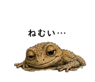 855729204