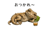 855729206