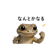855729208
