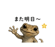 855729209