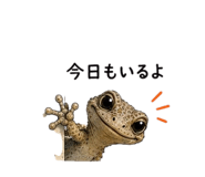 855729210