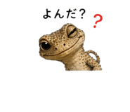 855729211
