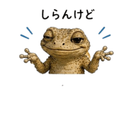 855729212