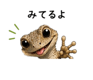 855729215