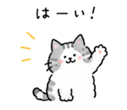 855729433