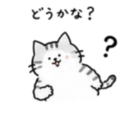 855729444