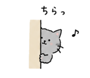 855729453