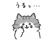 855729459