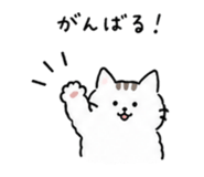 855729462