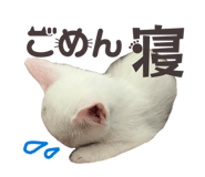 855729766