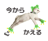 855729770