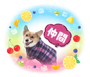 855730380