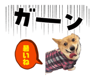 855730382