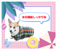 855730384