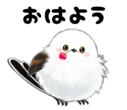 855732122