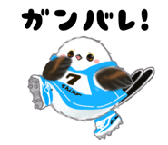 855732125