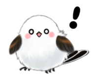 855732134