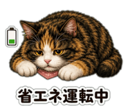855732225