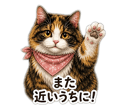 855732234