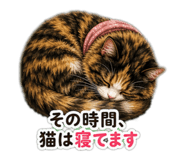 855732236