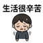 855732384