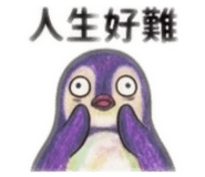 855732455