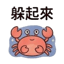855732806
