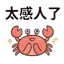 855732807