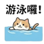855733475