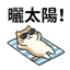 855733480
