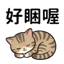 855733570