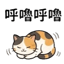 855733573