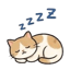 855733587