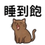 855733594
