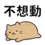 855733599