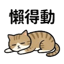 855733658