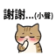 855733659